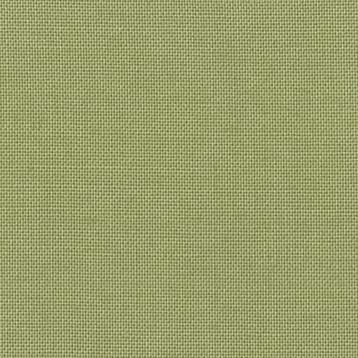 Devonstone Collection- Solid- Pine Tree- 100% COTTON