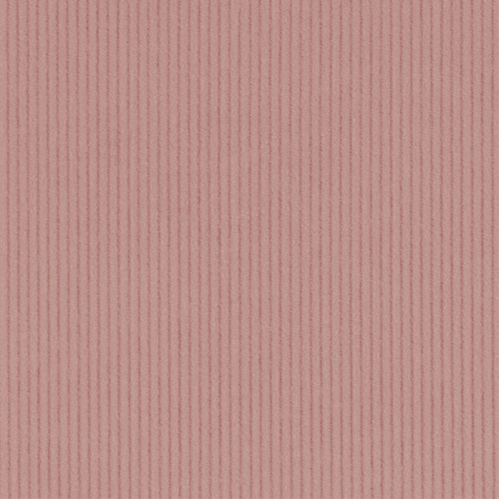 Corduroy - 11 Wale - Musk