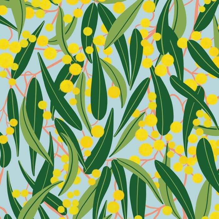 108" Wideloads – Wattle & Gum