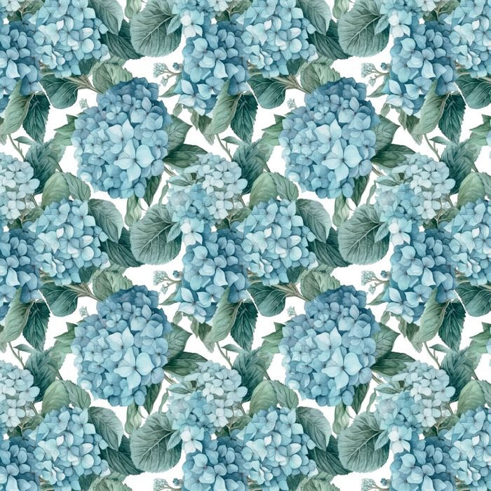 Nora's Natives - Blue Hydrangea