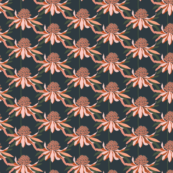 Rachelle Holowko – Waratah