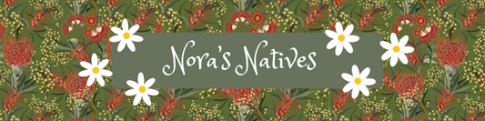 Nora's Natives Fabric Collection