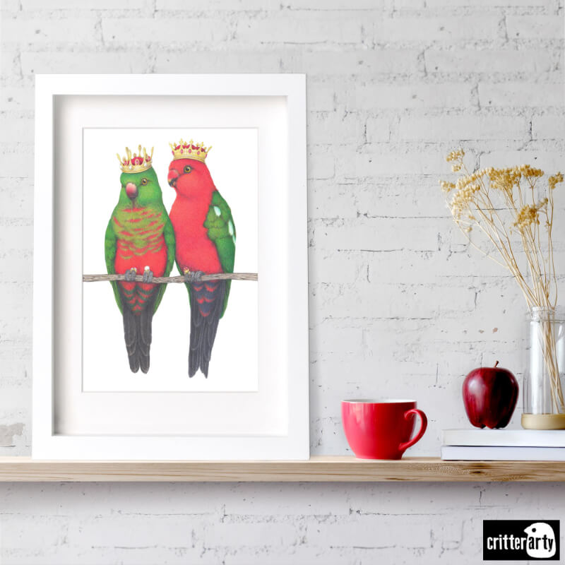 king parrot art print