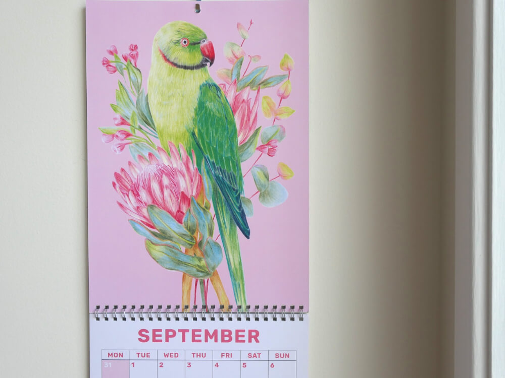 2026 Parrots Calendar by Kayla Reay