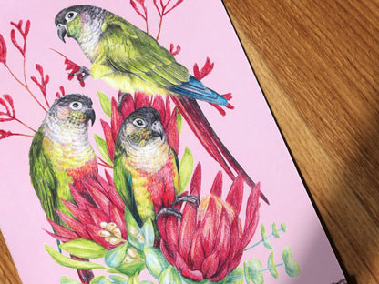 2026 Parrots Calendar by Kayla Reay