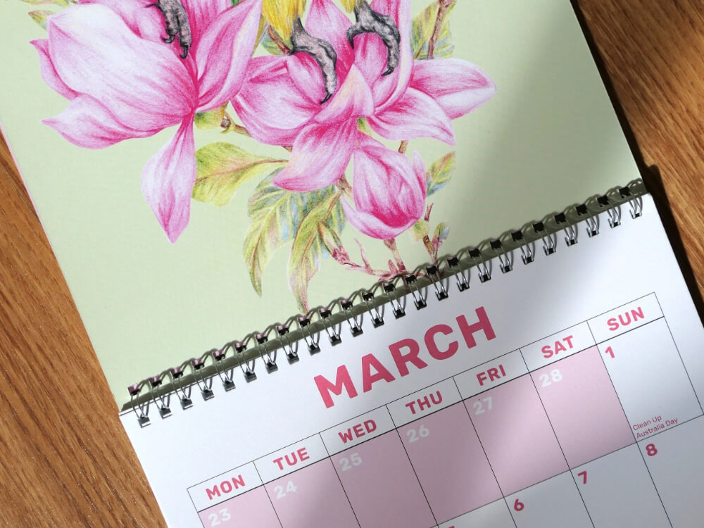 2026 Parrots Calendar by Kayla Reay