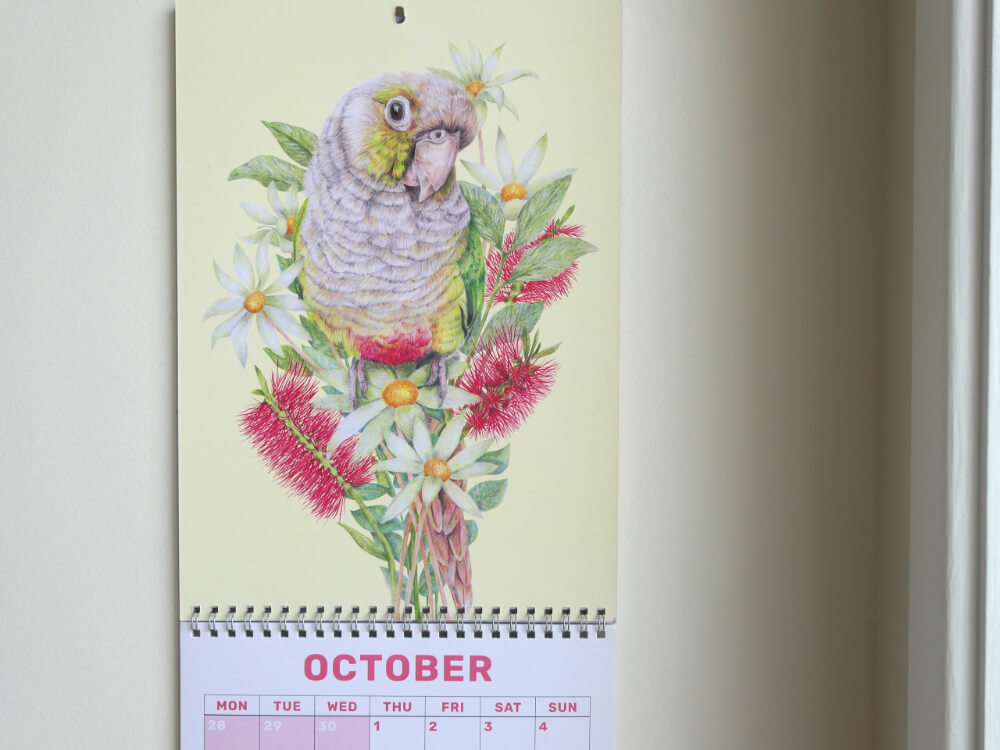 2026 Parrots Calendar by Kayla Reay
