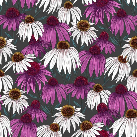 Flower Market - Echinacea - By Ned Barraud