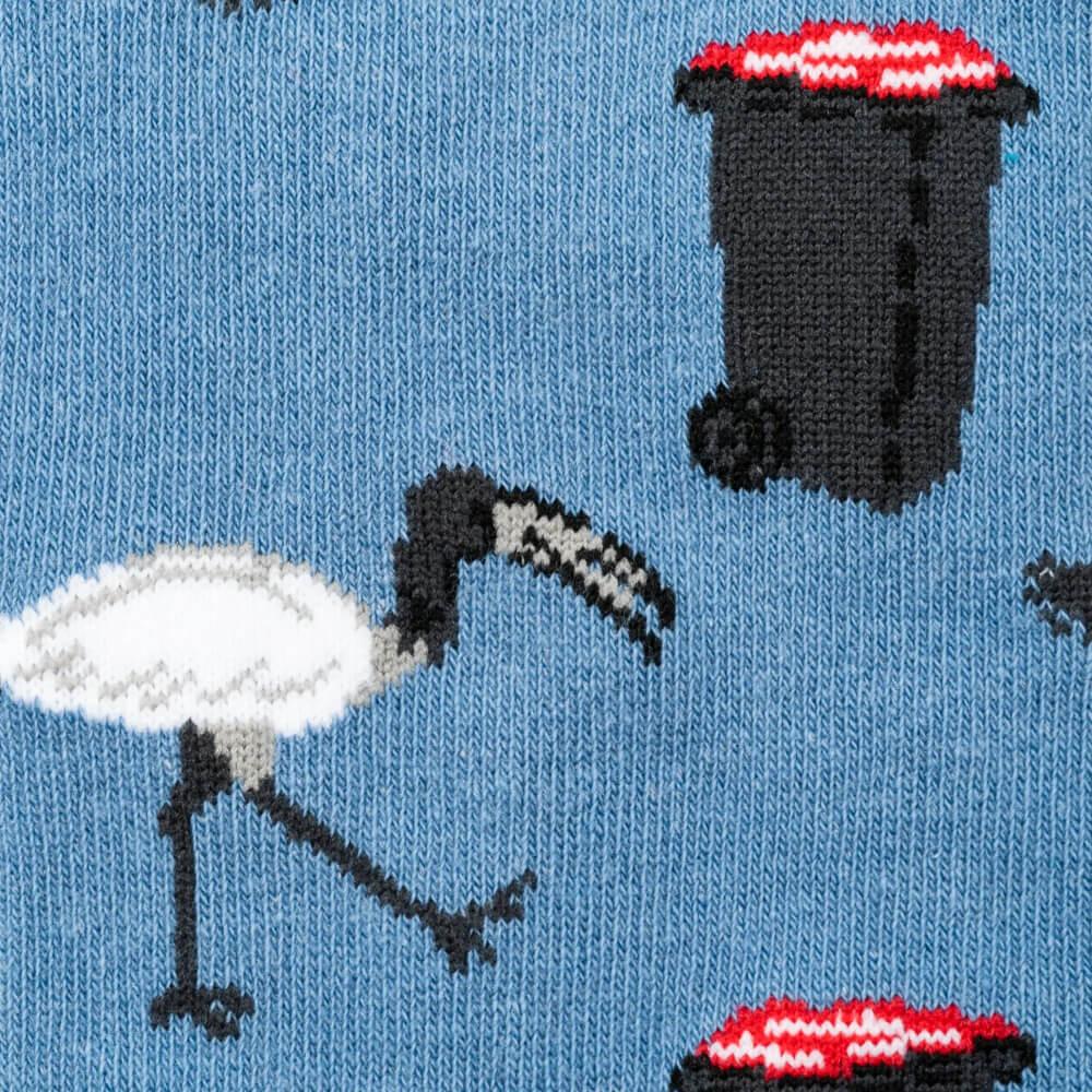 Bin Chicken / Ibis Socks By Sydney Sock Project