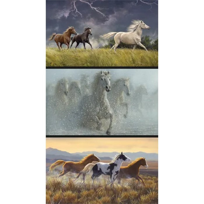 Wild Horses Collection