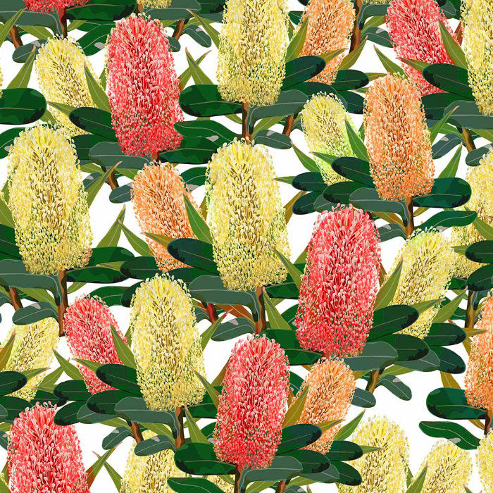 Aussie Flowers - Banksia