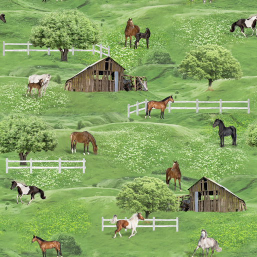 Horse Life By Milvale Design Studio