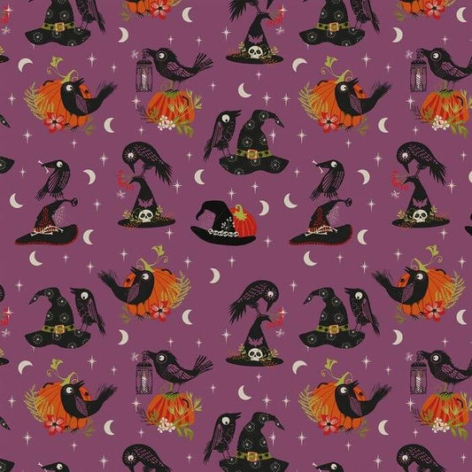 Hocus Pocus Beaks & Brims