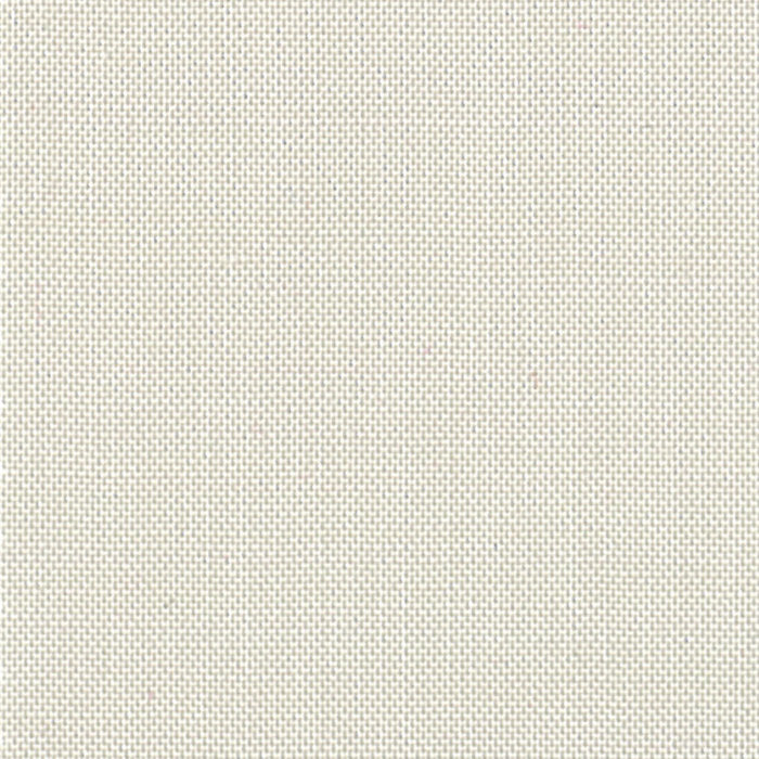 Devonstone Collection - Solid - Stone Fossil