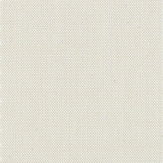 Devonstone Collection - Solid - Stone Fossil