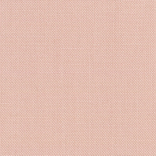 Devonstone Collection - Solid - Tippy Toe