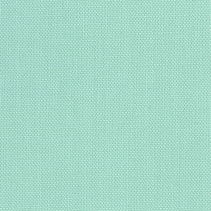 Devonstone Collection- Solid- Mint- 100% COTTON