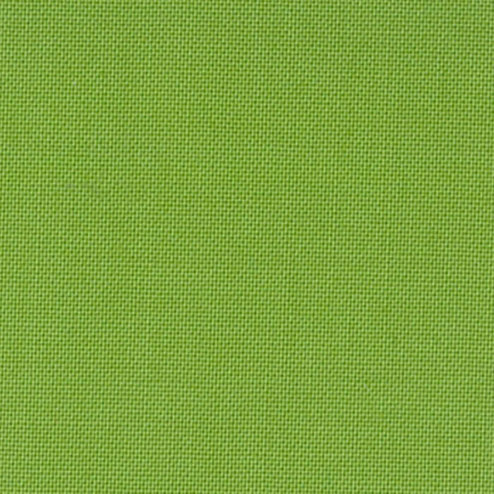 Devonstone Collection- Coral Green- Solid- 100% COTTON