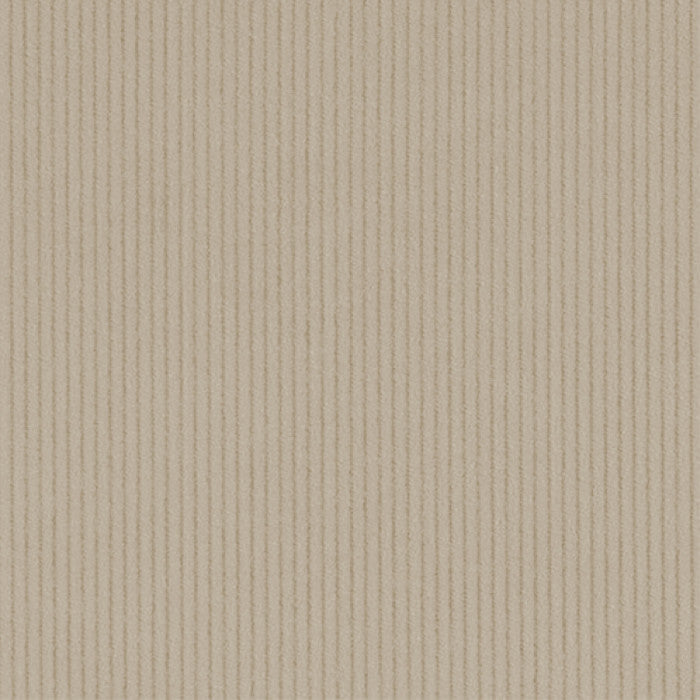 Corduroy – 11 Wale – Dune