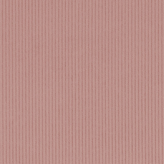 Corduroy - 11 Wale - Musk