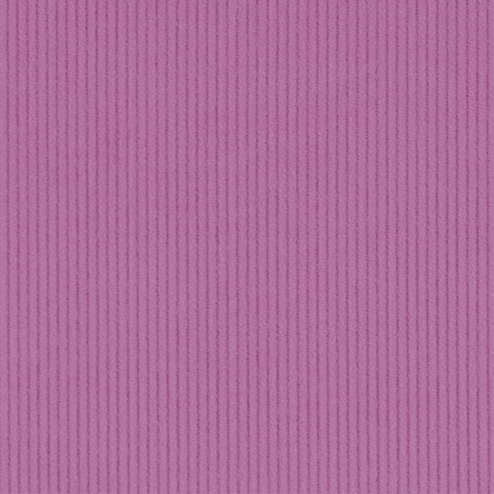 Corduroy - 11 Wale - Lolly