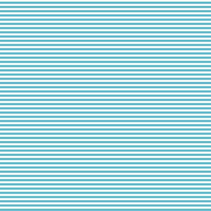 Fundamentals - 1/8" Stripe - Barrier Blue