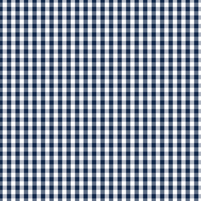 Devonstone Fundamentals- Check- Gambier Blue