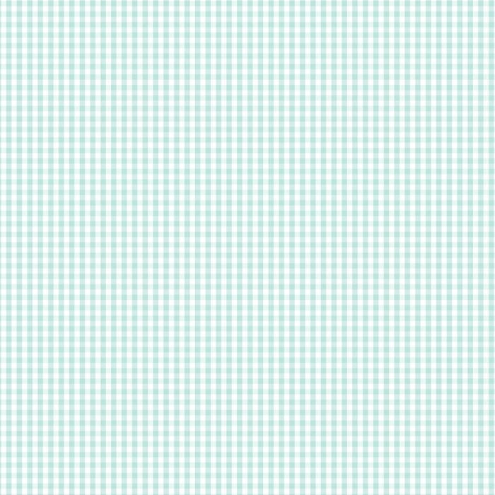 Devonstone Fundamentals- 1/8" Check- Sea Foam
