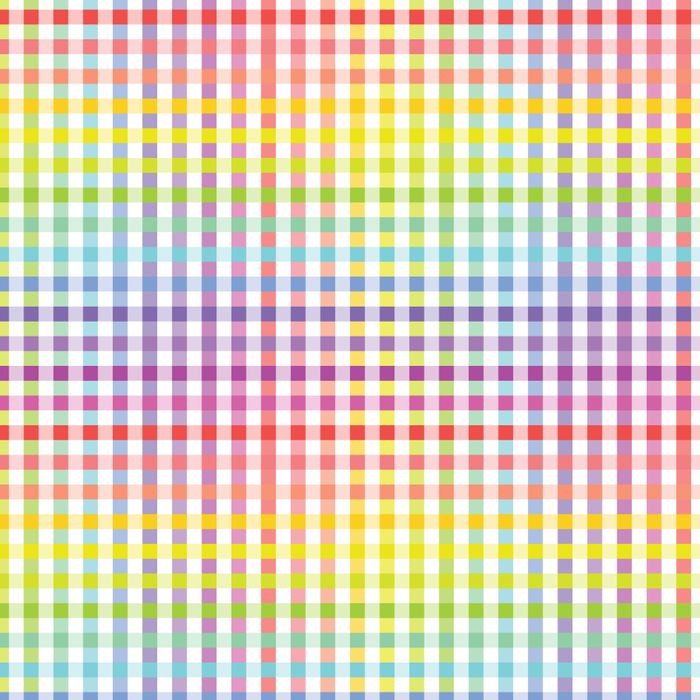 Devonstone Fundamentals- 1/4" Check- Rainbow