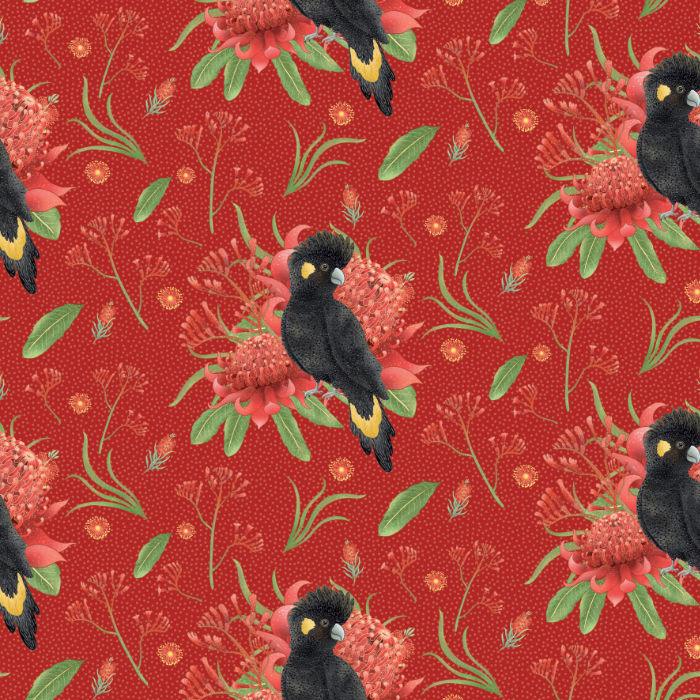 Black cockatoos and waratahs on red – Jen Digital Art