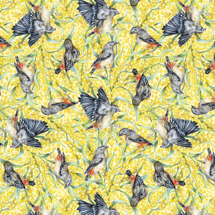 Bird Bouquet – Pardalote Wattle – by Kayla Reay