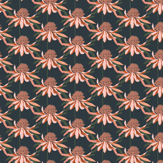 Rachelle Holowko – Waratah