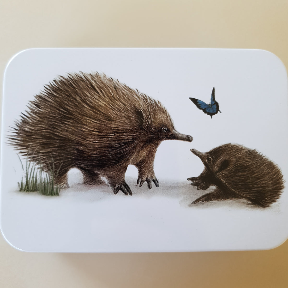 Australian Wildlife Pocket Tins