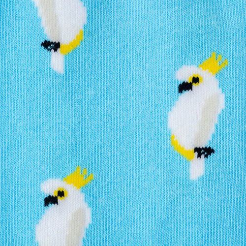 cockatoo socks