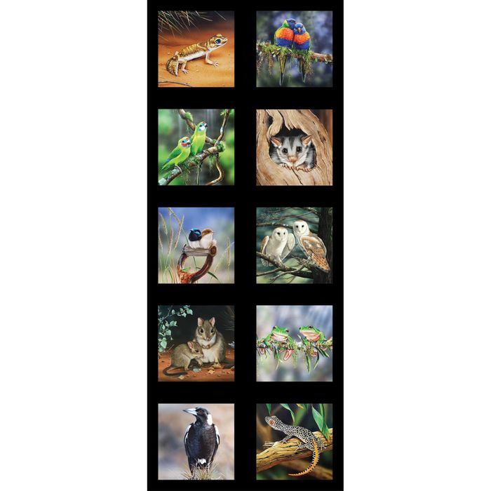 Wildlife Art Panels by Natalie Jane Parker