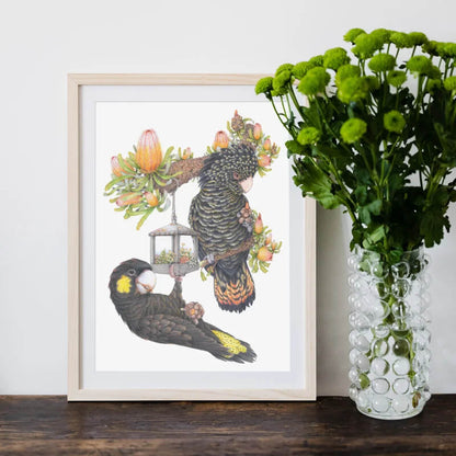 Black Cockatoo Unframed Art Print