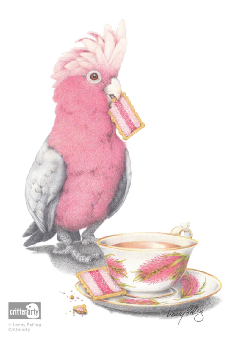Galah Unframed Art Print