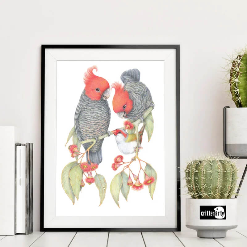 Gang Gang Cockatoo Unframed Art Print