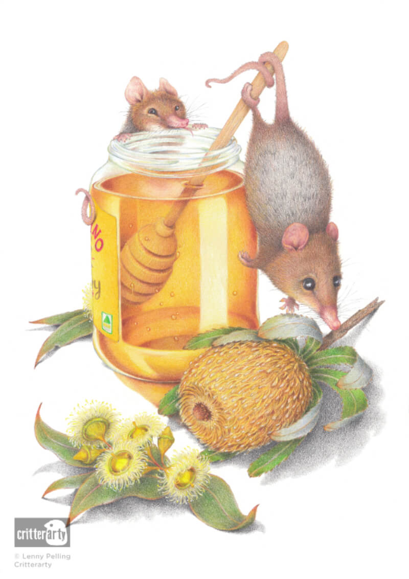 Honey Possum Unframed Art Print
