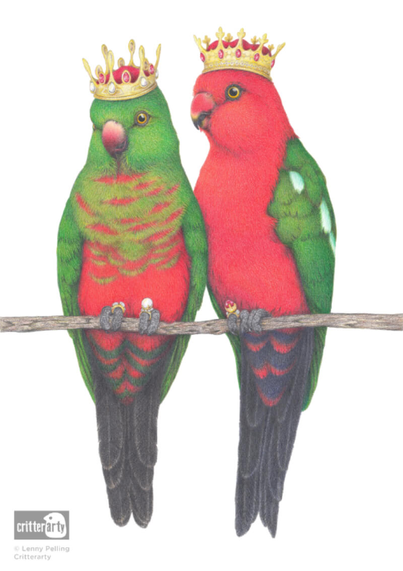 King Parrot Unframed Art Print